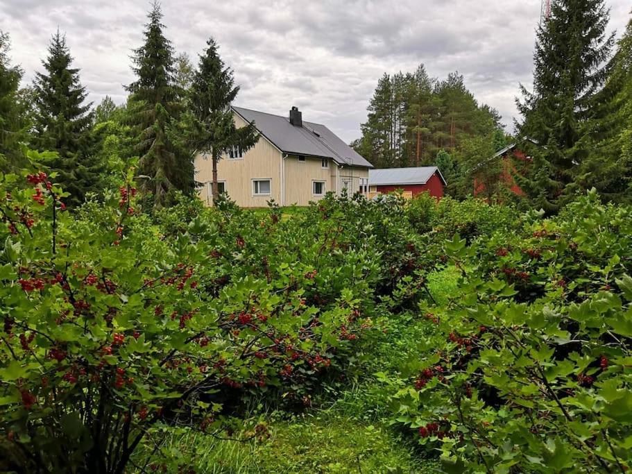 Mukava Mummonmoekki Maaseudun Rauhassa Villa Koivu Dış mekan fotoğraf